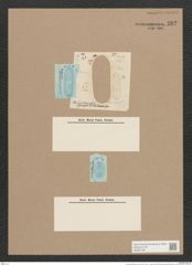 Navicula forcipata Grev. (de-Toni-Nr.: Genus 1, Species 332) Zeichnungen Sammlung Grunow Nr. 762 (NHMW-BOT-W0367166)